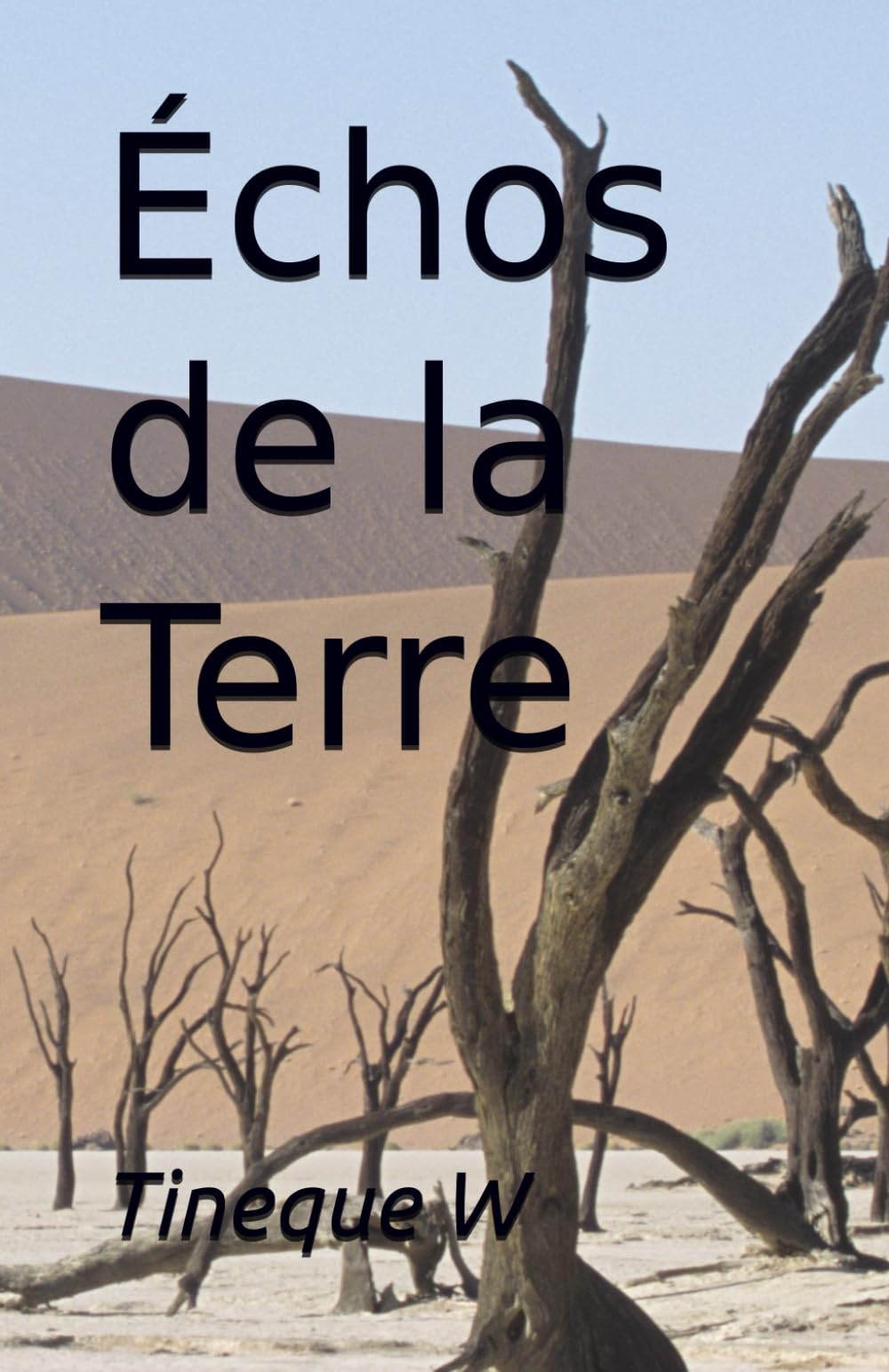 Echo de la terre: Poèmes sur la nature et sa conservation Mathematics