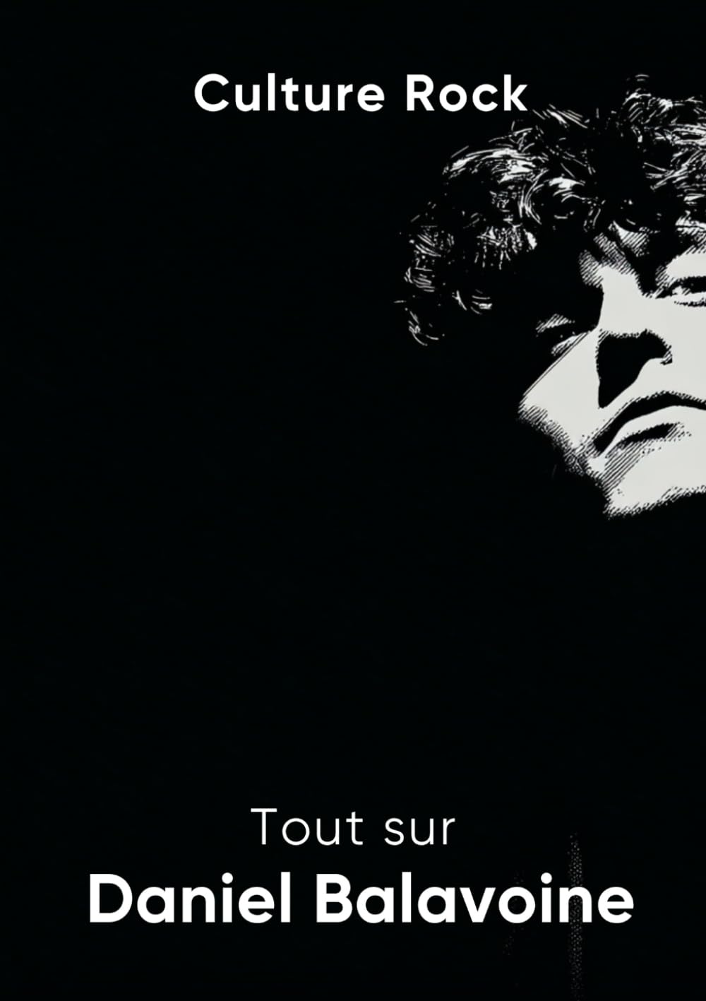Tout sur Daniel Balavoine book