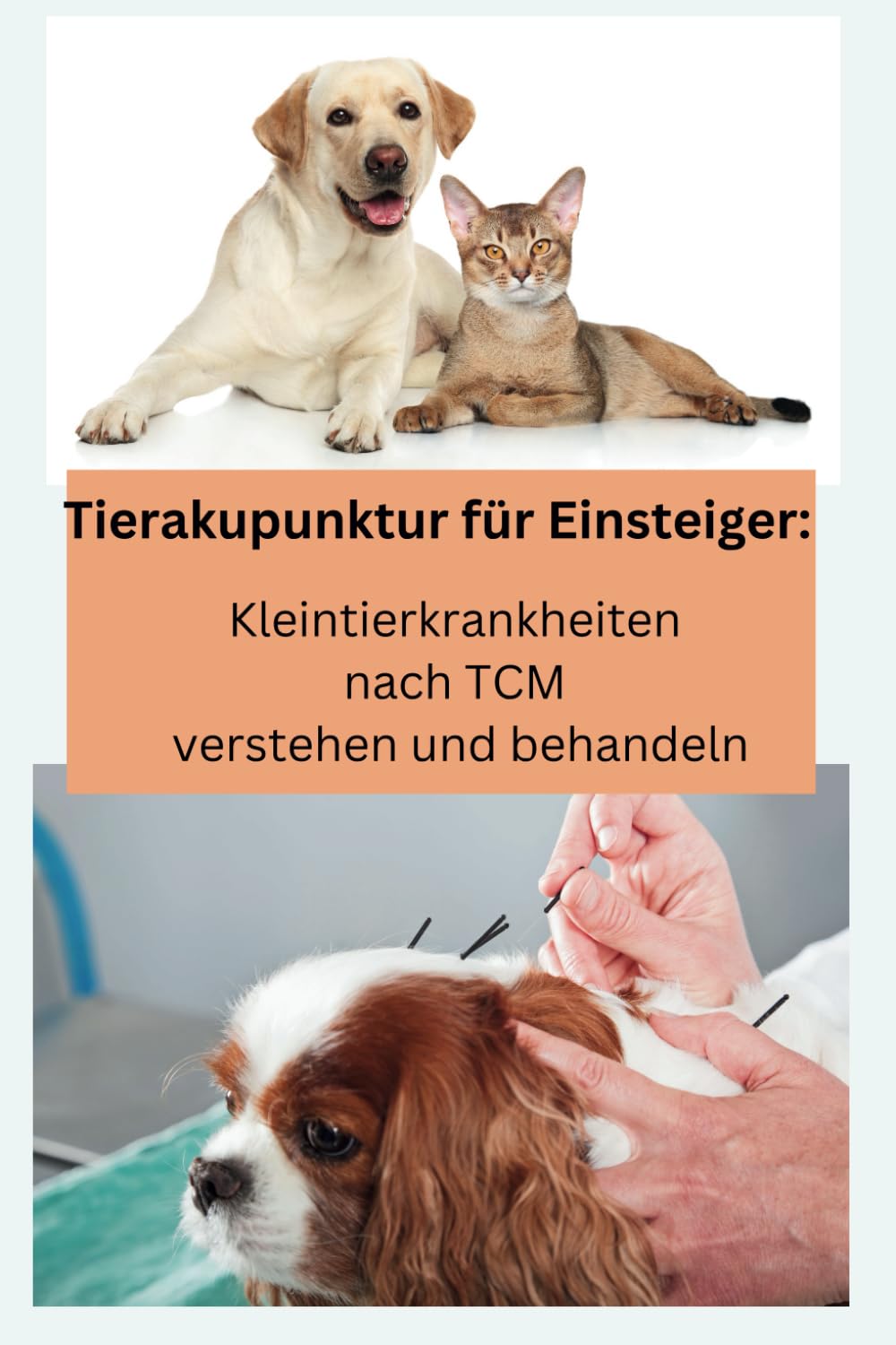 Tierakupunktur für Einsteiger: Kleintierkrankheiten nach TCM verstehen und behandeln Medicine
