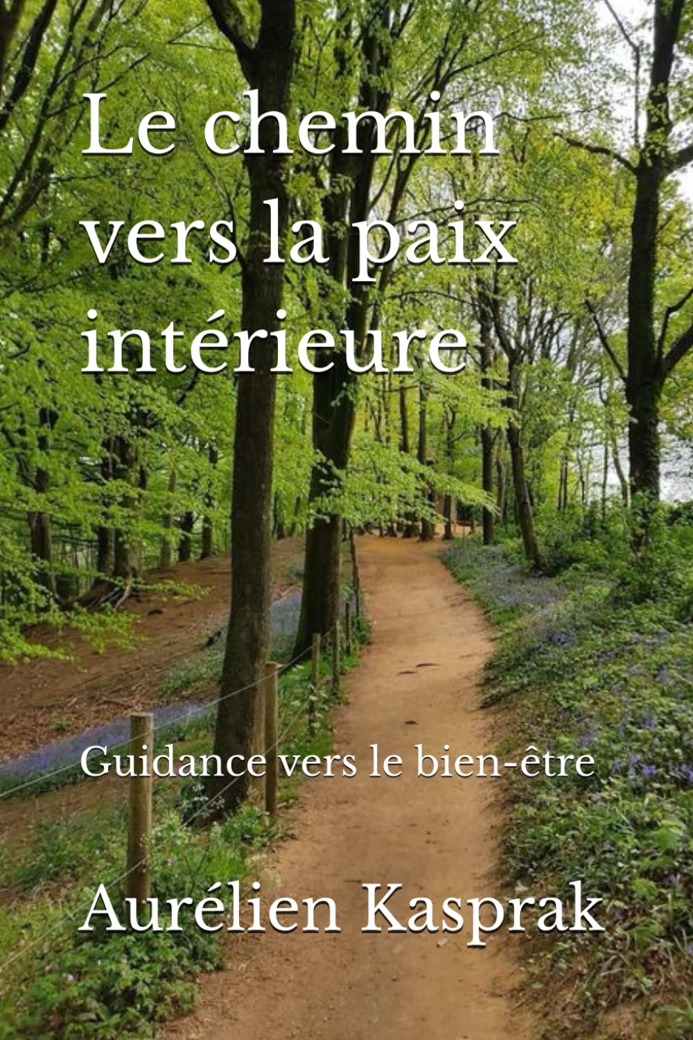 Le chemin vers la paix intérieure: Guidance vers le bien-être book