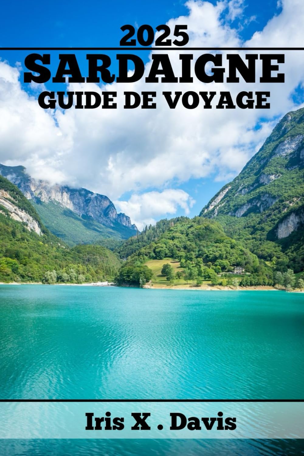 SARDAIGNE GUIDE DE VOYAGE: Explorez, Goûtez Et Découvrez Des Trésors Cachés , Des Trésors Culinaires, Des Délices Locaux Et Des Plages Époustouflantes book