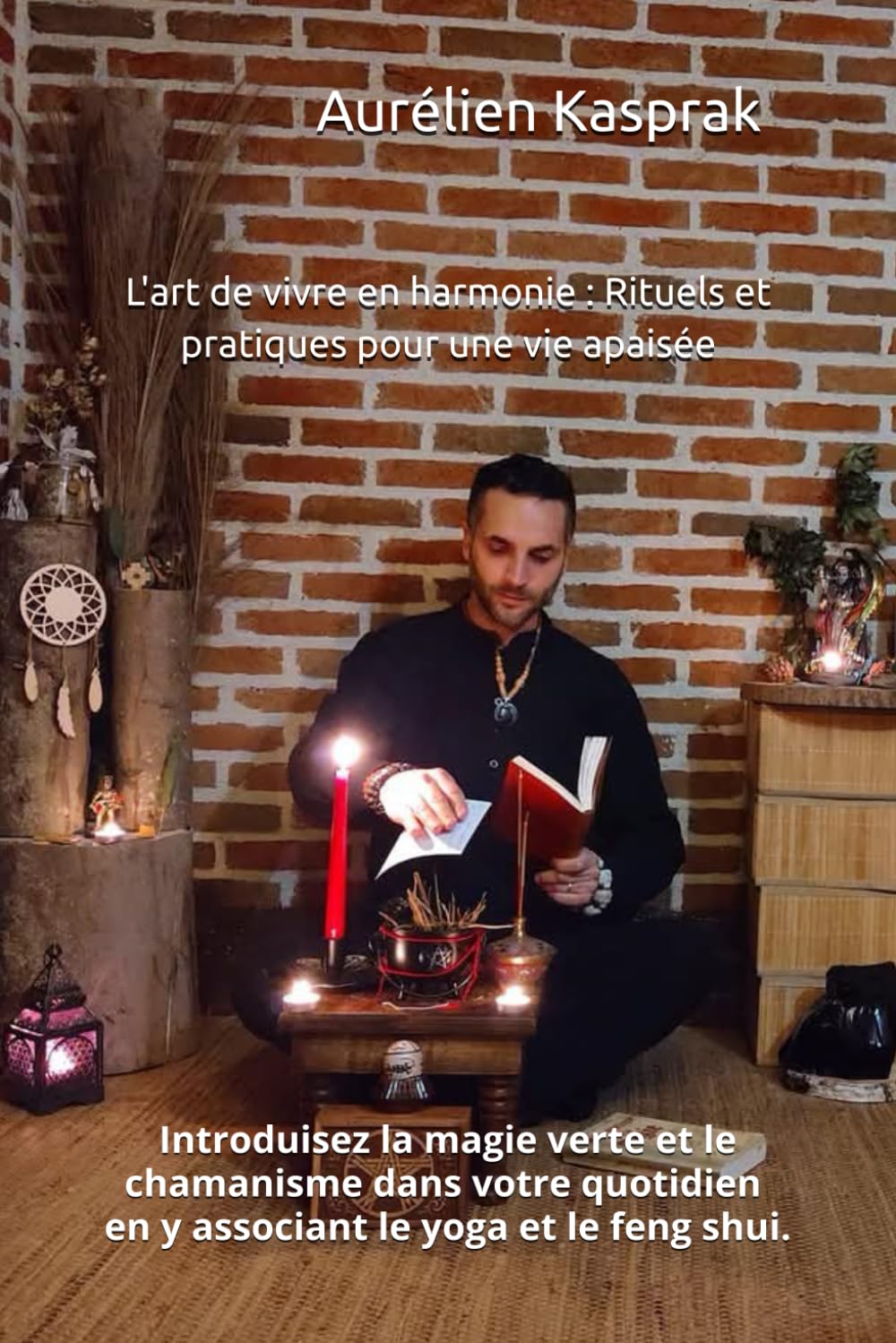 L'art de vivre en harmonie : Rituels et pratiques pour une vie apaisée book