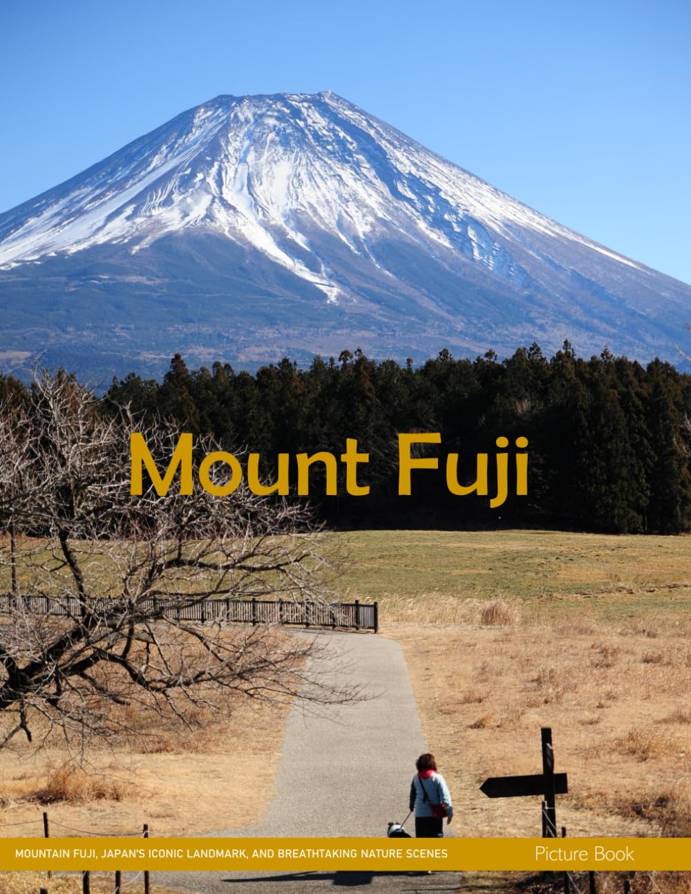 Picture Book of Mount Fuji: A Visual Journey book