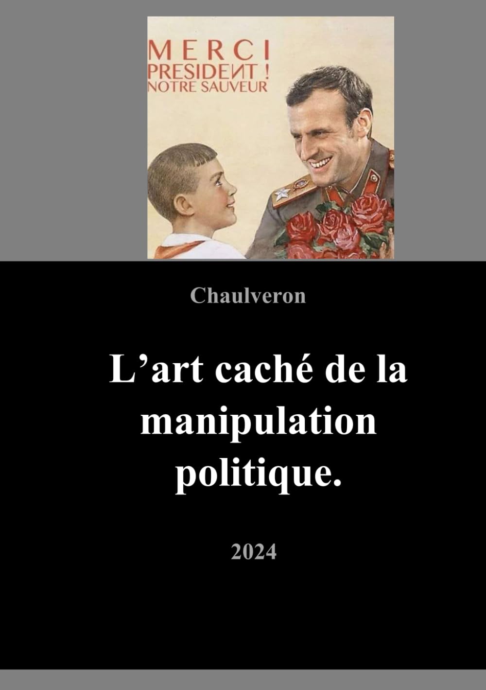L'art caché de la manipulation politique. book