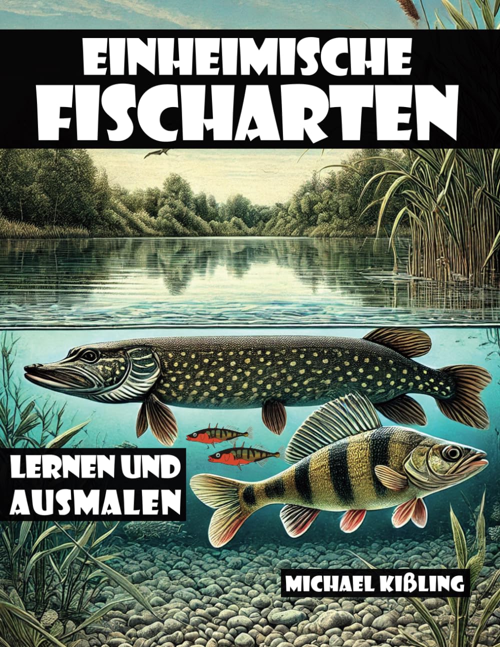 EINHEIMISCHE FISCHARTEN LERNEN UND AUSMALEN: Mit farbenfrohen Malvorlagen und faszinierenden Unterwassermotiven kannst du deine Lieblingsfische auf eine ganz neue Art entdecken Lifestyle