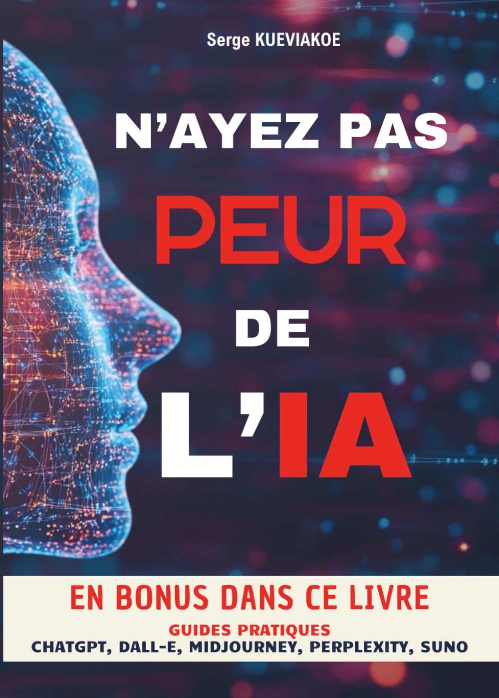 N'ayez pas peur de l'IA: Guide pratique book