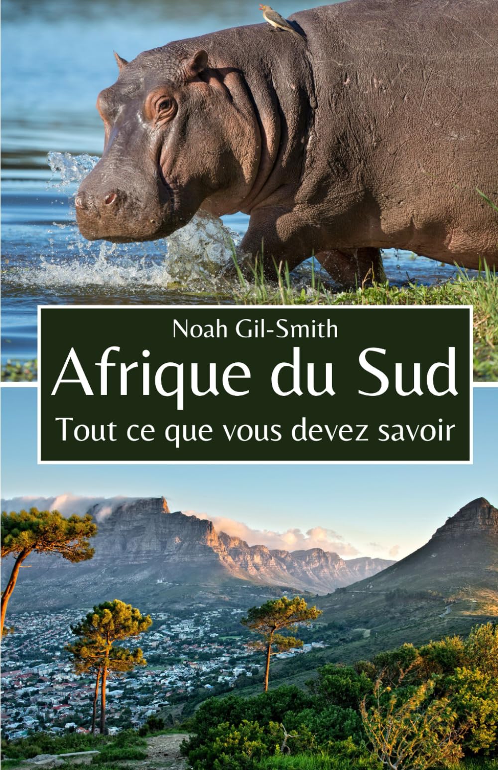 Afrique du Sud: Tout ce que vous devez savoir book