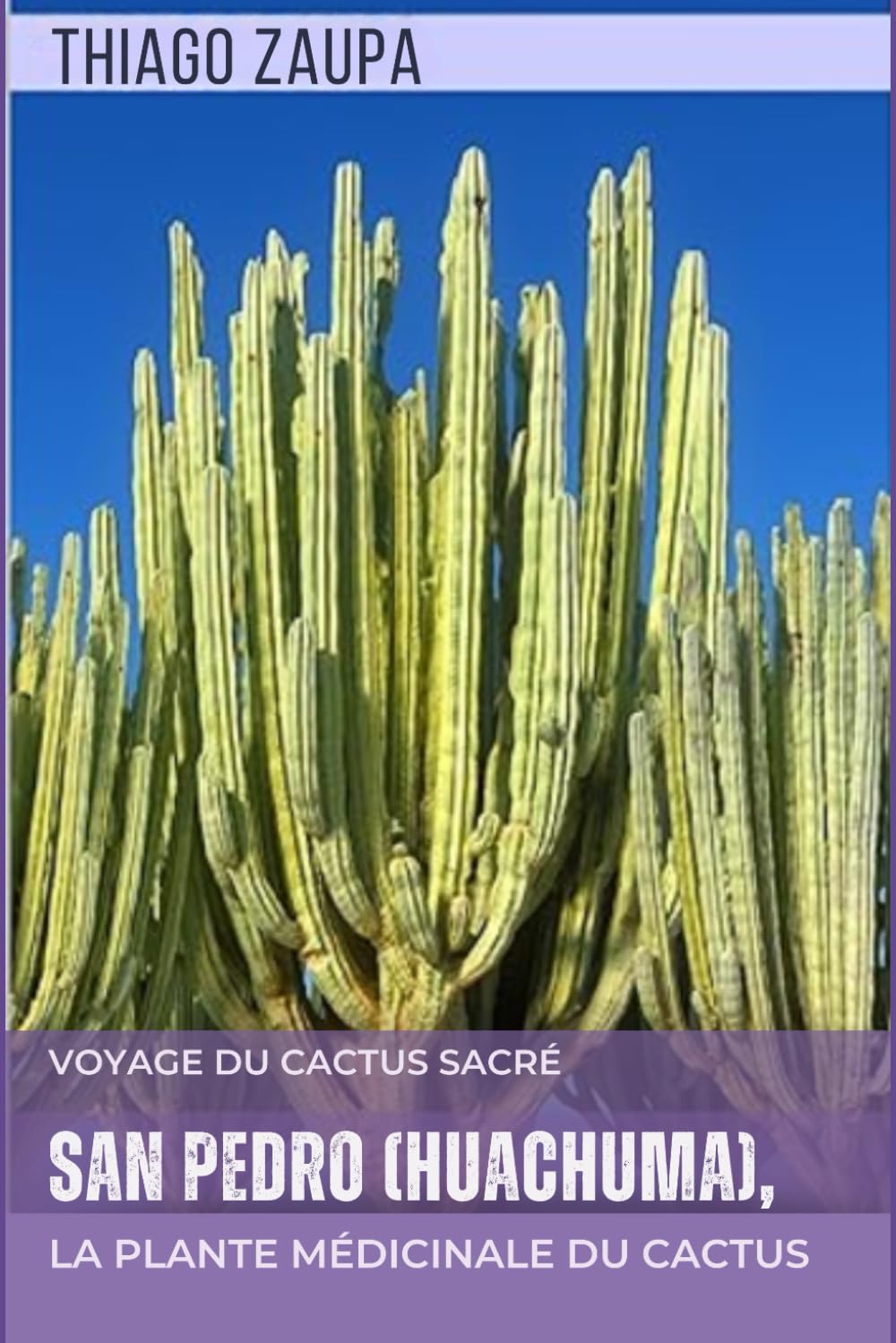 San Pedro (Huachuma), la Plante Médicinale du Cactus: Voyage du Cactus Sacré book