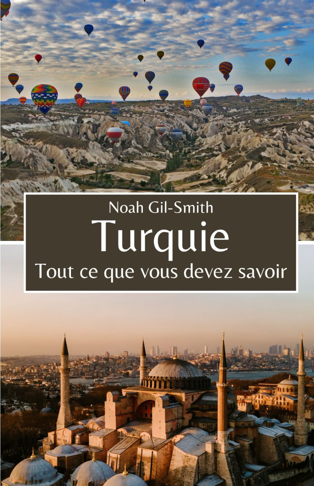 Turquie: Tout ce que vous devez savoir book