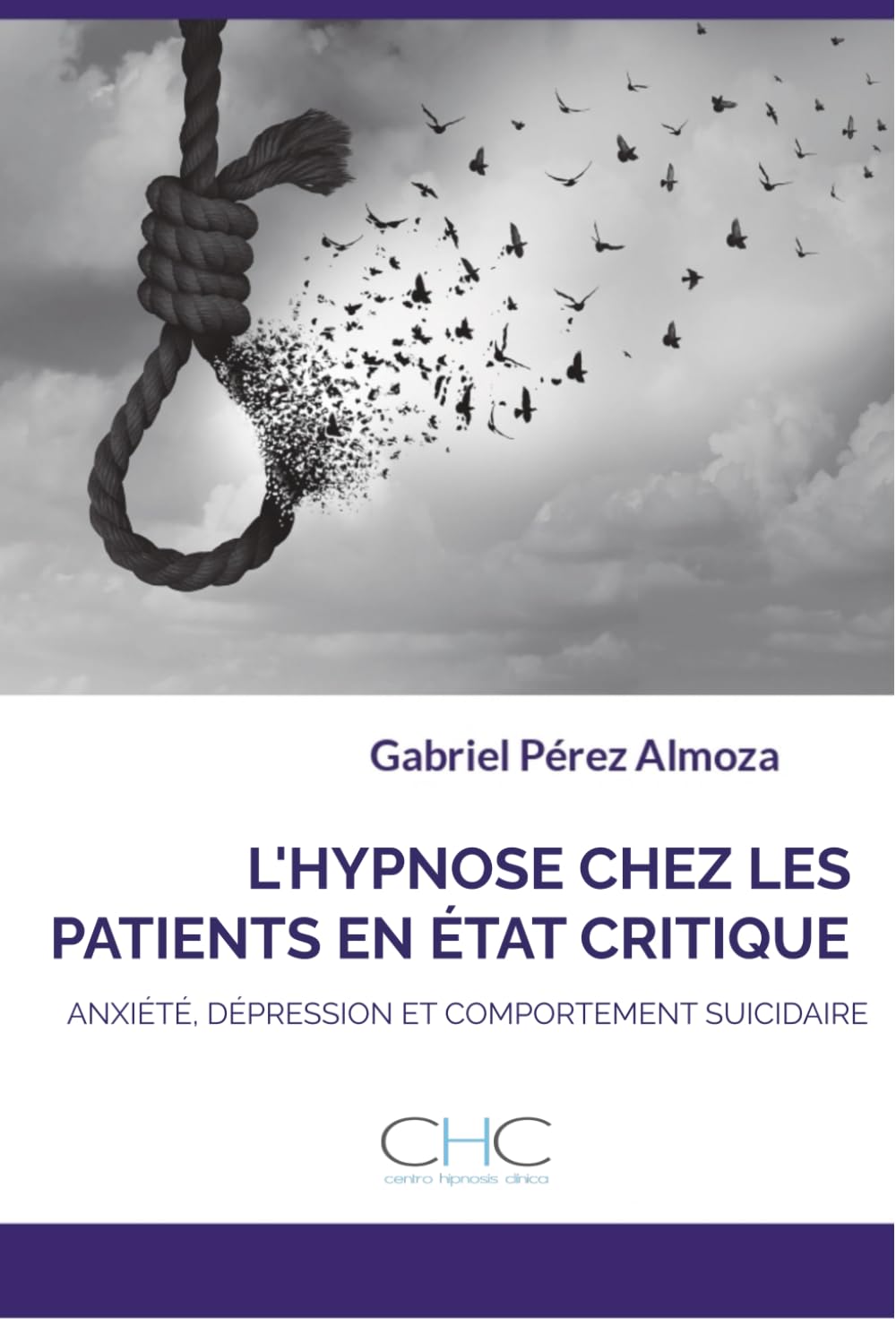 L'HYPNOSE CHEZ LES PATIENTS EN ÉTAT CRITIQUE: ANXIÉTÉ, DÉPRESSION ET COMPORTEMENT SUICIDAIRE book