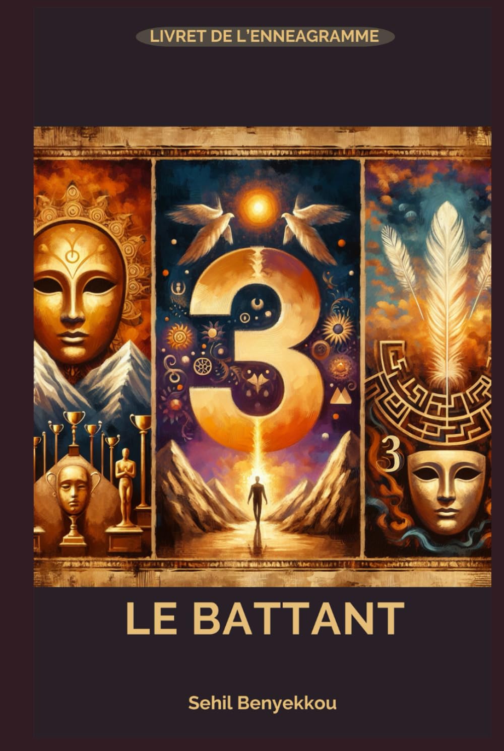 Type 3 de l'Ennéagramme : Le Battant: Triompher Pour Vivre book