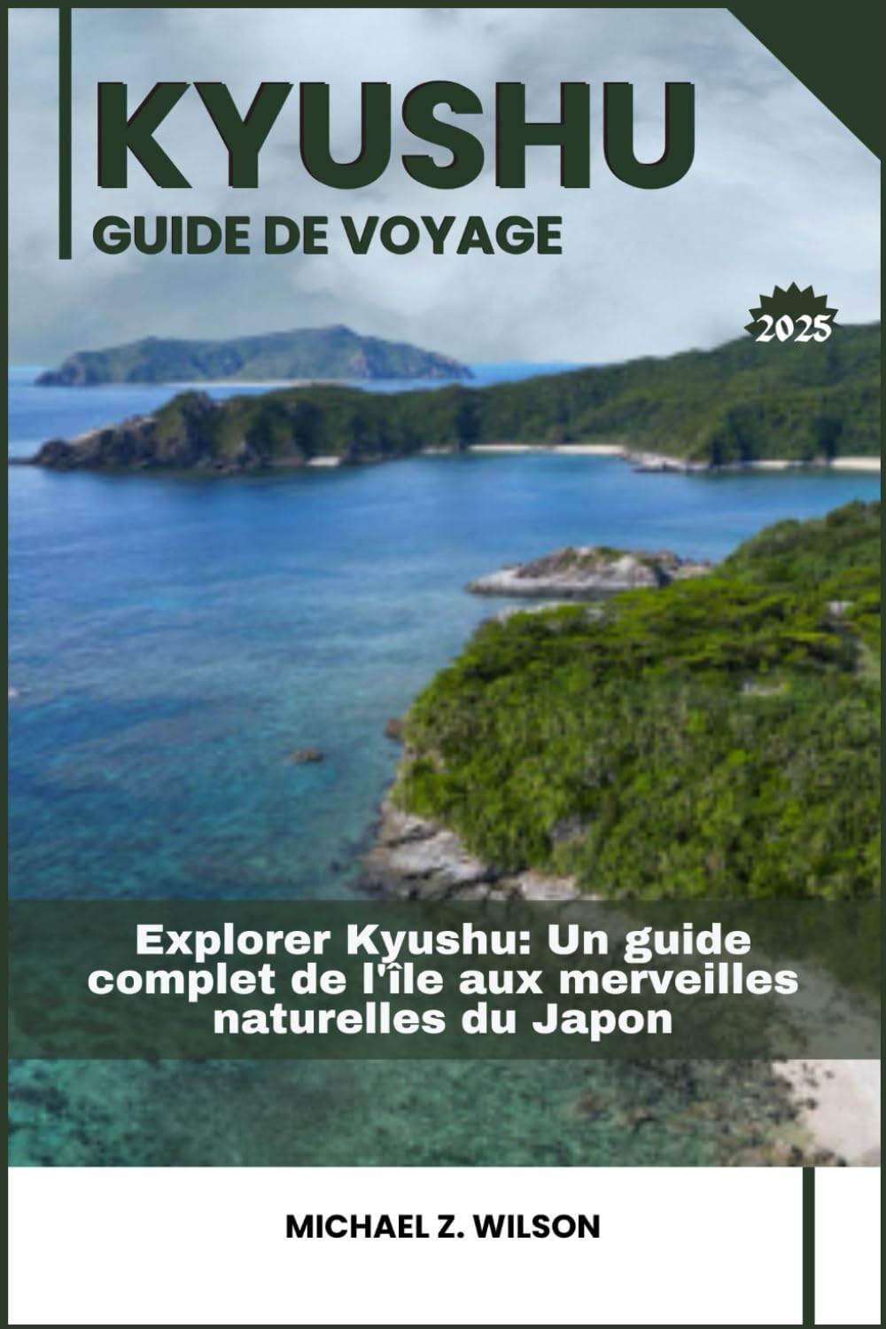 KYUSHU GUIDE DE VOYAGE: Explorer Kyushu: Un guide complet de l'île aux merveilles naturelles du Japon book