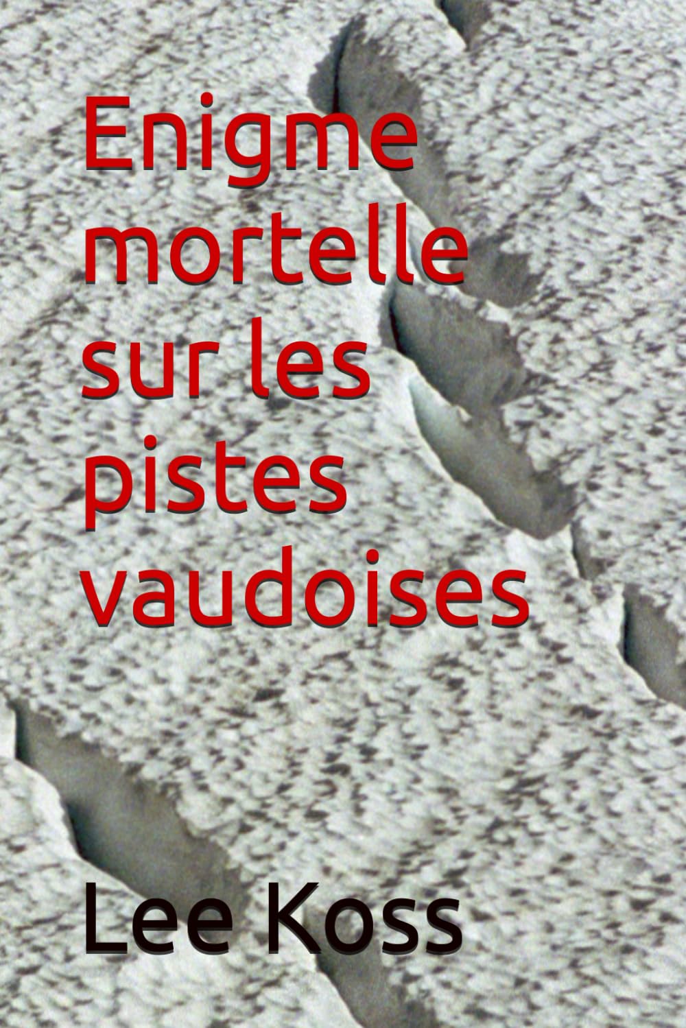Enigme mortelle sur les pistes vaudoises book