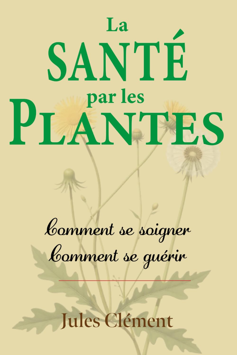 La Santé par les Plantes. Comment se soigner? Comment se guérir?: Accompagné d’un dictionnaire des maladies et des termes de médecine Reference Books