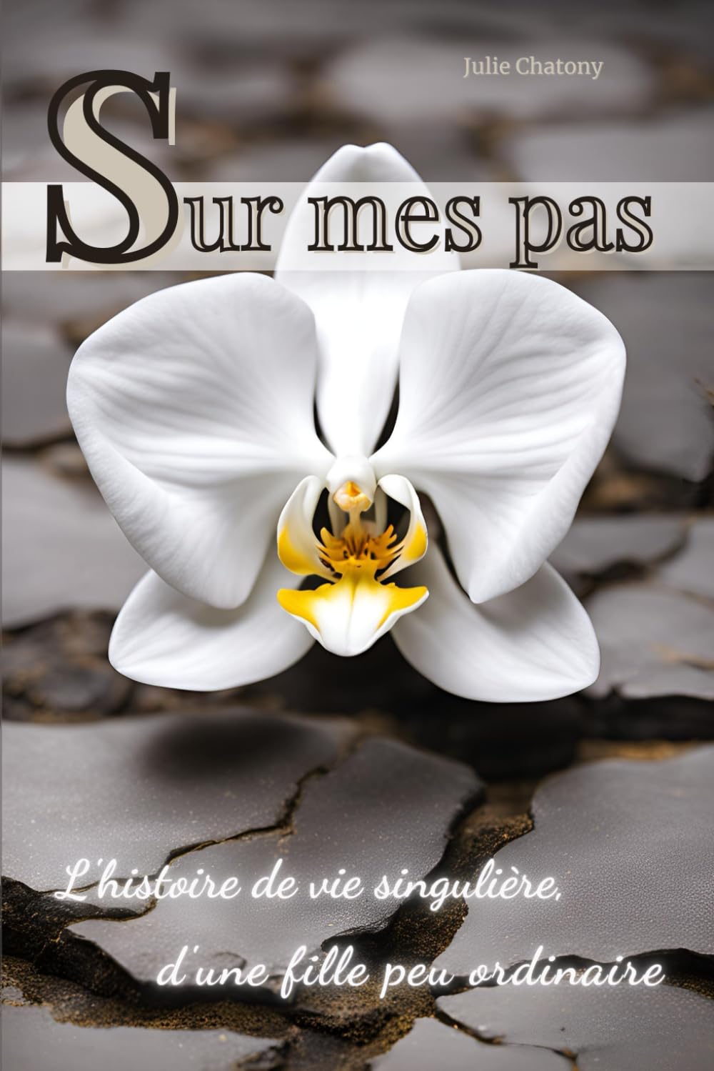 Sur mes pas - l'histoire de vie singulière, d'une fille peu ordinaire book