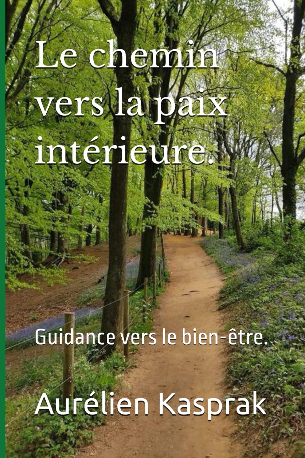 Le chemin vers la paix intérieure.: Guidance vers le bien-être. book