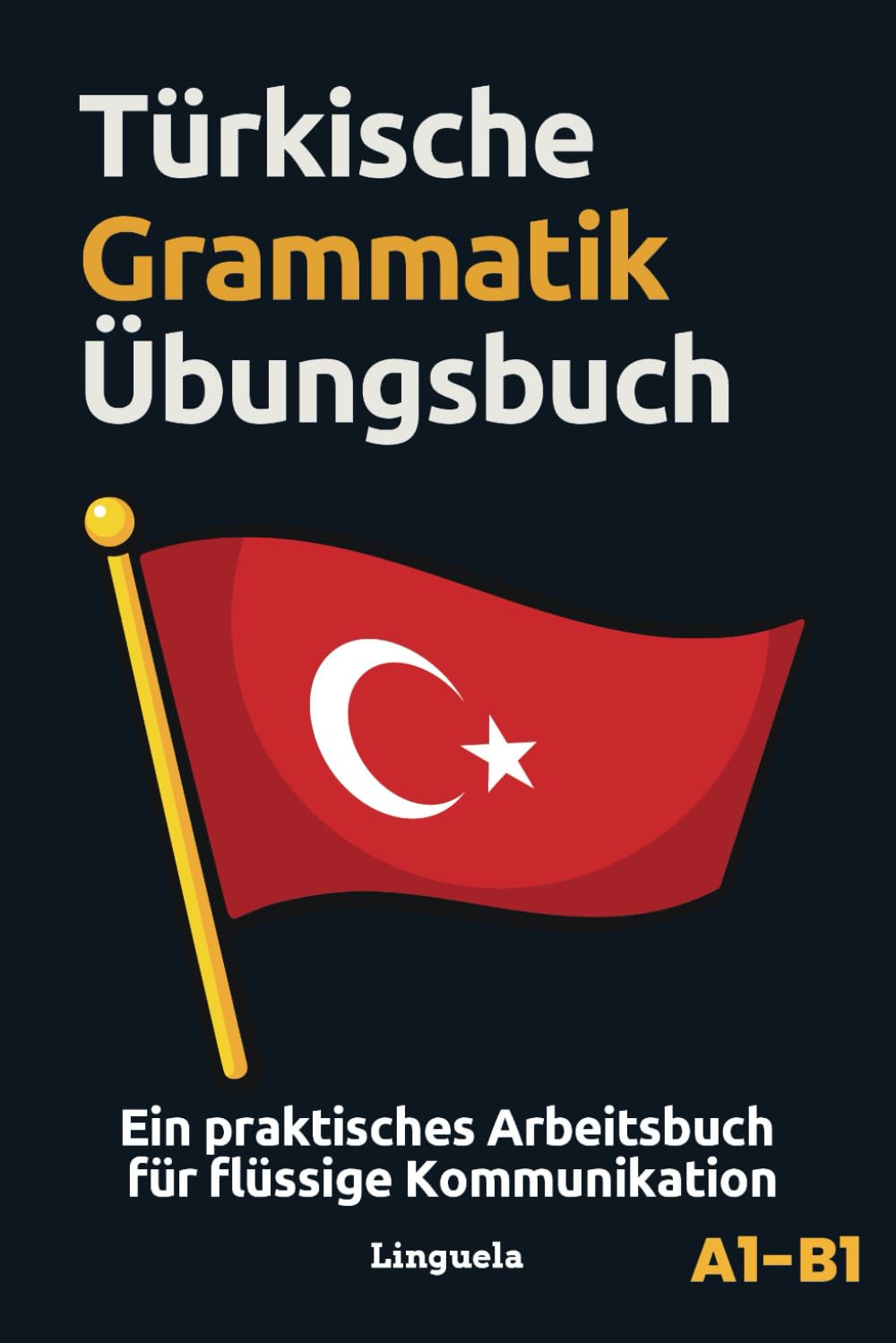 Türkische Grammatik Übungsbuch: Ein praktisches Arbeitsbuch für flüssige Kommunikation Foreign Languages ​​& Dictionaries