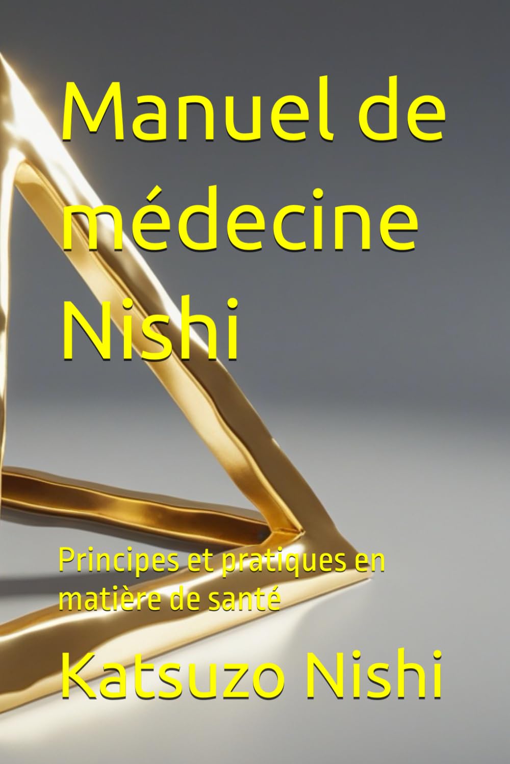 Manuel de médecine Nishi: Principes et pratiques en matière de santé book