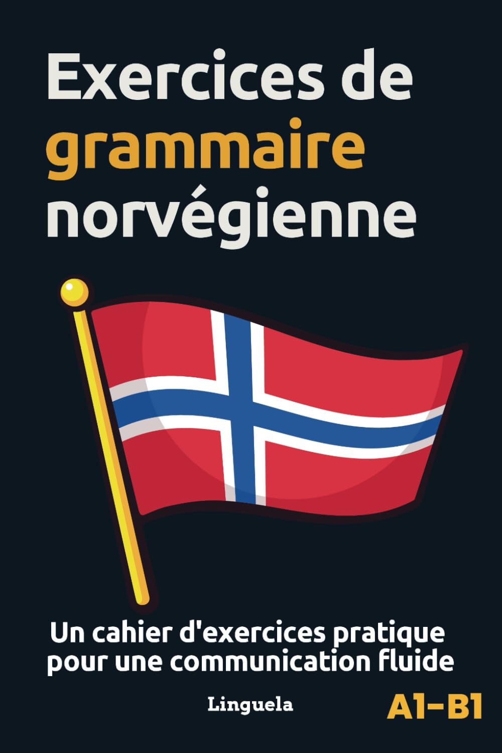 Exercices de grammaire norvégienne: Un cahier d'exercices pratique pour une communication fluide book