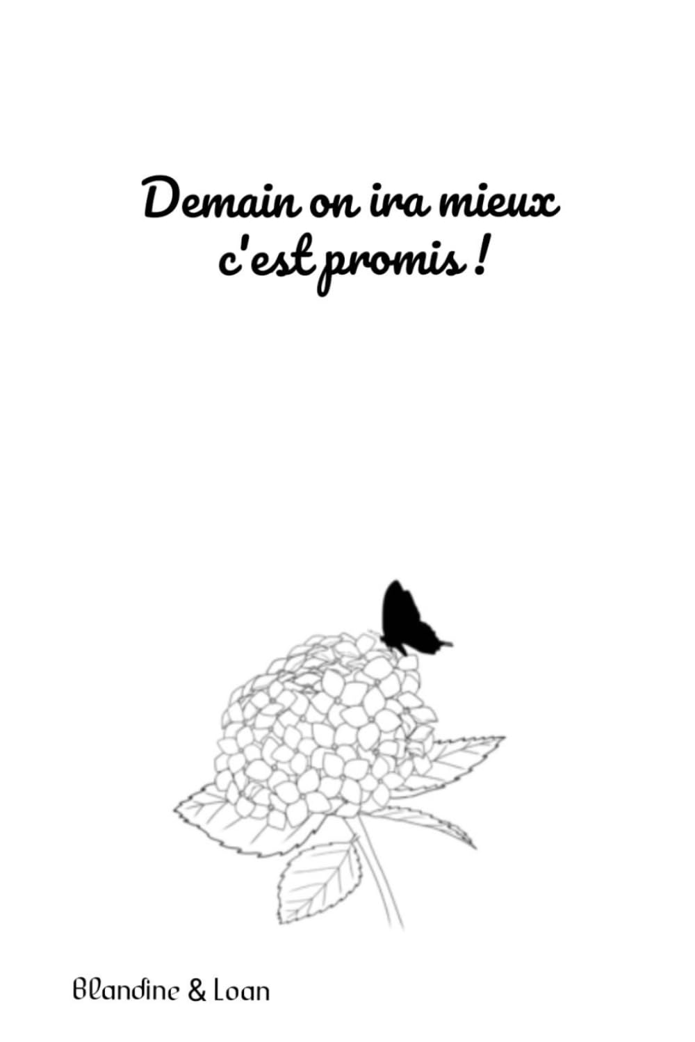 Demain on ira mieux c'est promis ! book