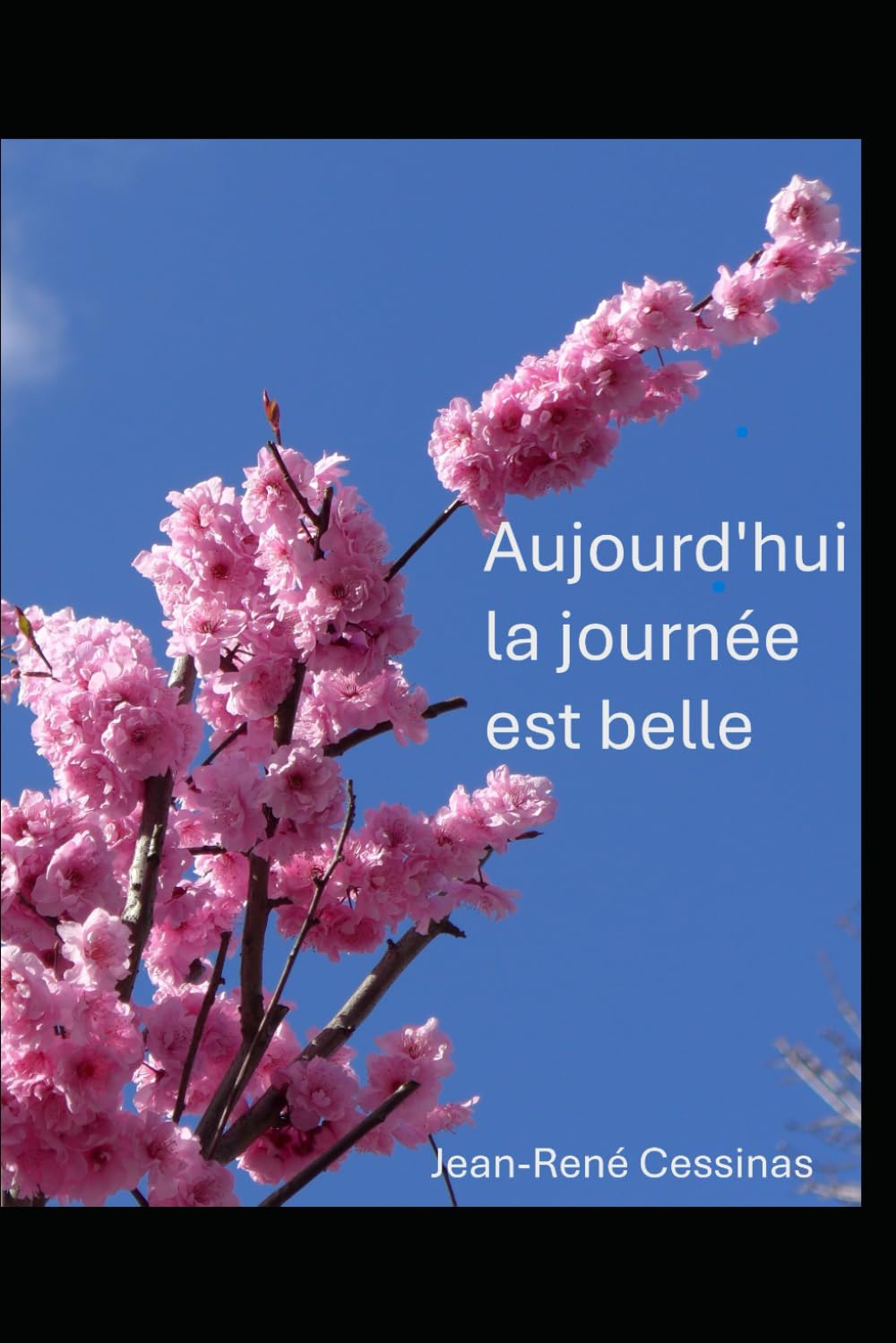 Aujourd'hui, la journée est belle book