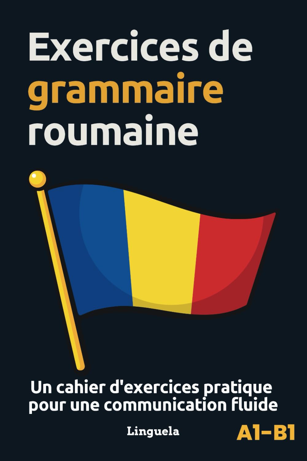 Exercices de grammaire roumaine: Un cahier d'exercices pratique pour une communication fluide book