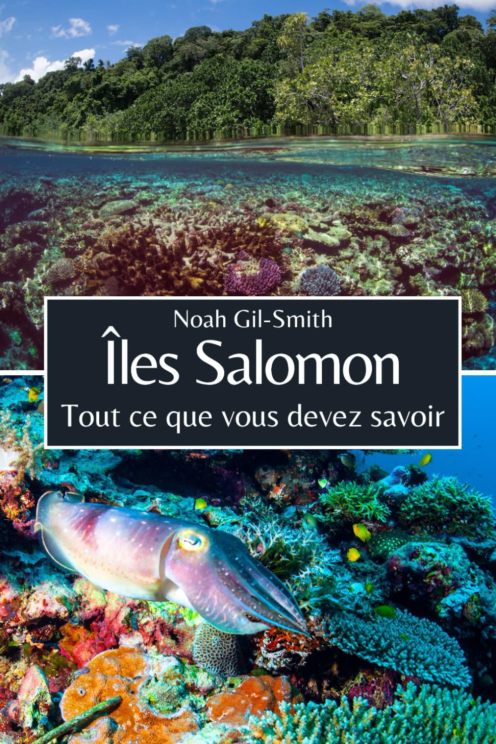 Îles Salomon: Tout ce que vous devez savoir book