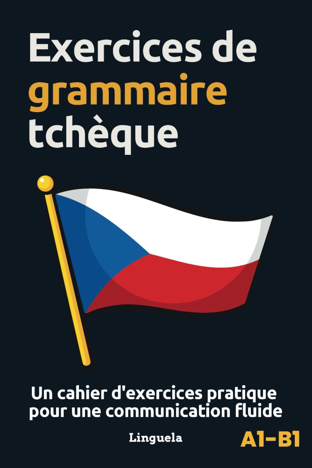Exercices de grammaire tchèque: Un cahier d'exercices pratique pour une communication fluide book