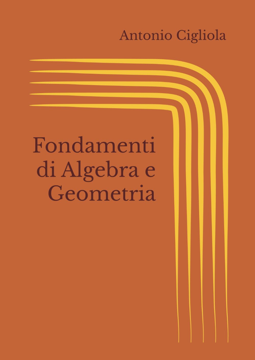 Fondamenti di Algebra e Geometria book