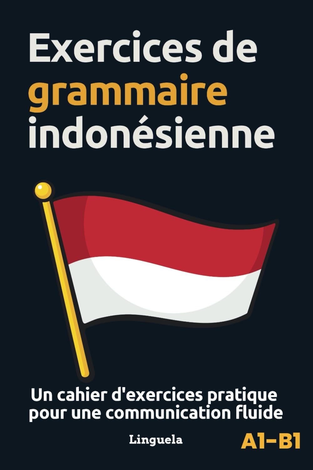 Exercices de grammaire indonésienne: Un cahier d'exercices pratiques pour une communication fluide book