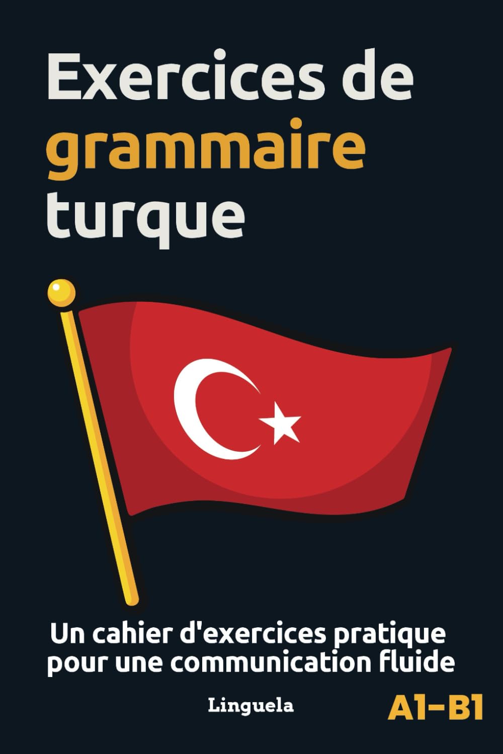 Exercices de grammaire turque: Un cahier d'exercices pratiques pour une communication fluide book