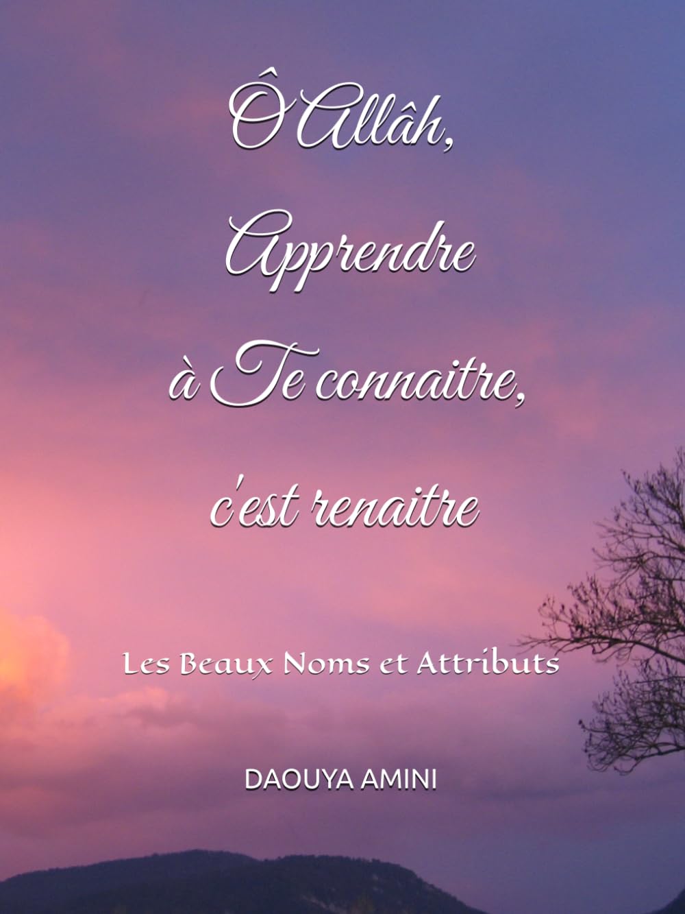 Ô Allâh, Apprendre à Te connaitre, c'est renaitre: Les Beaux Noms et Attributs en poésie book