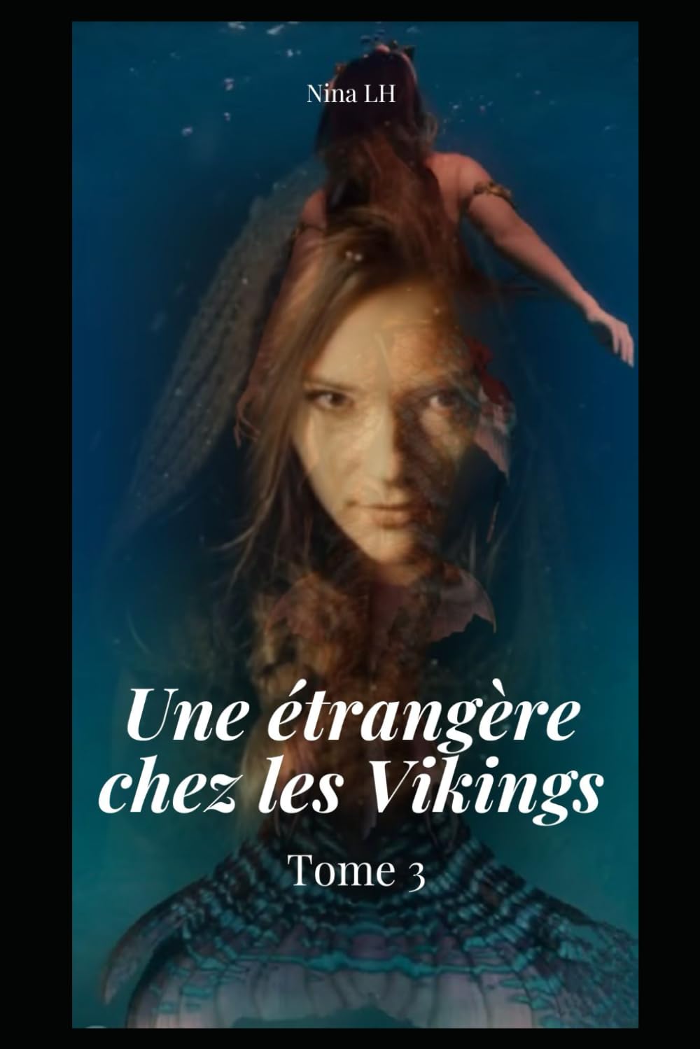 Une étrangère chez les Vikings: Tome 3 book