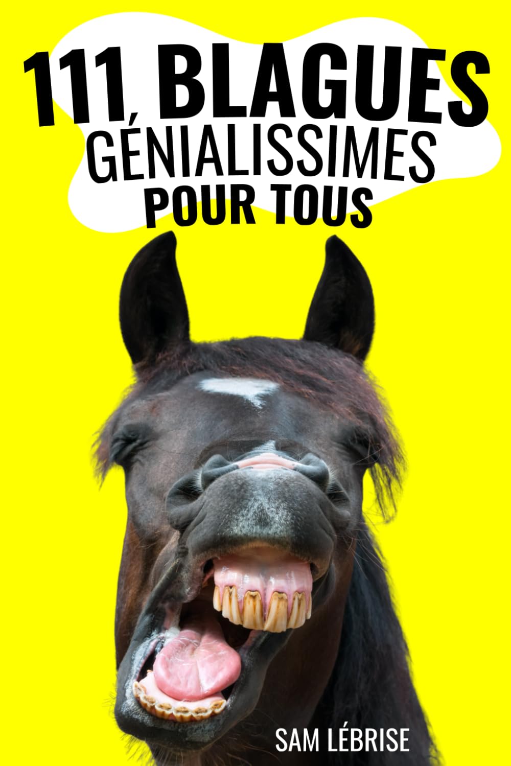 111 blagues génialissimes: Une idée de cadeau amusante pour un collègue, un ami, un anniversaire, ou Noël ! book