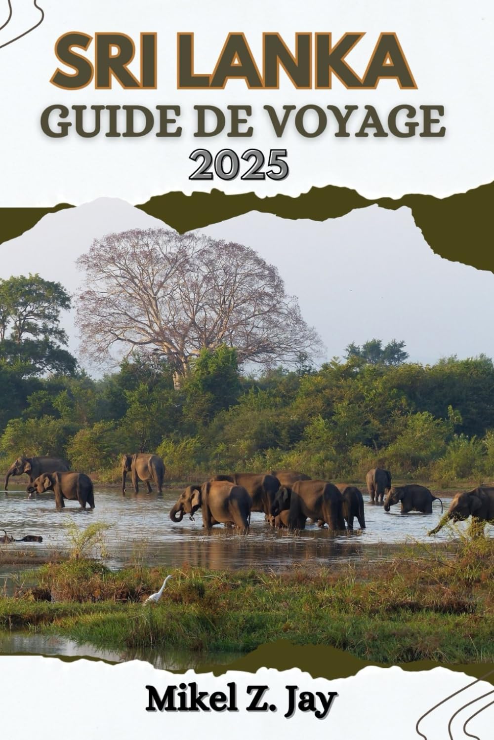 SRI LANKA GUIDE DE VOYAGE: Découverte de la beauté, d'une culture vibrante, des plus belles plages, des ruines et de la faune avec des conseils de ... vivre des expériences de voyage authentiques book