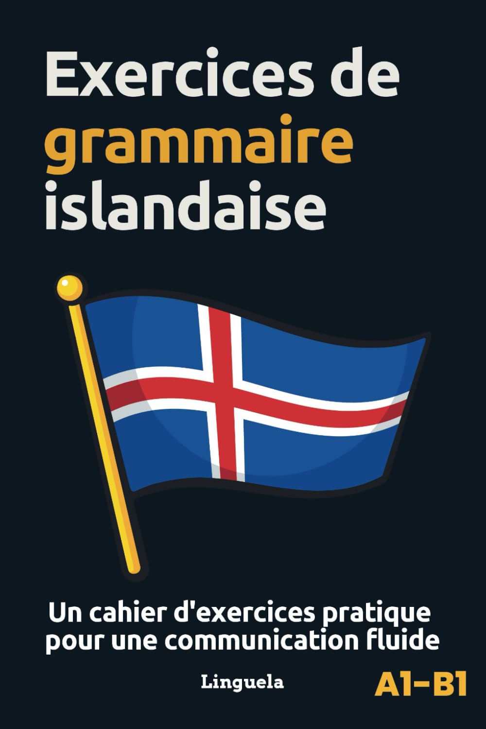 Exercices de grammaire islandaise: Un cahier d'exercices pratiques pour une communication fluide book