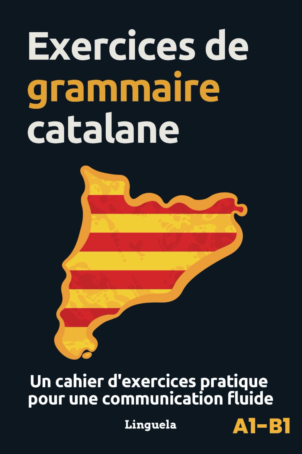 Exercices de grammaire catalane: Un cahier d'exercices pratiques pour une communication fluide book