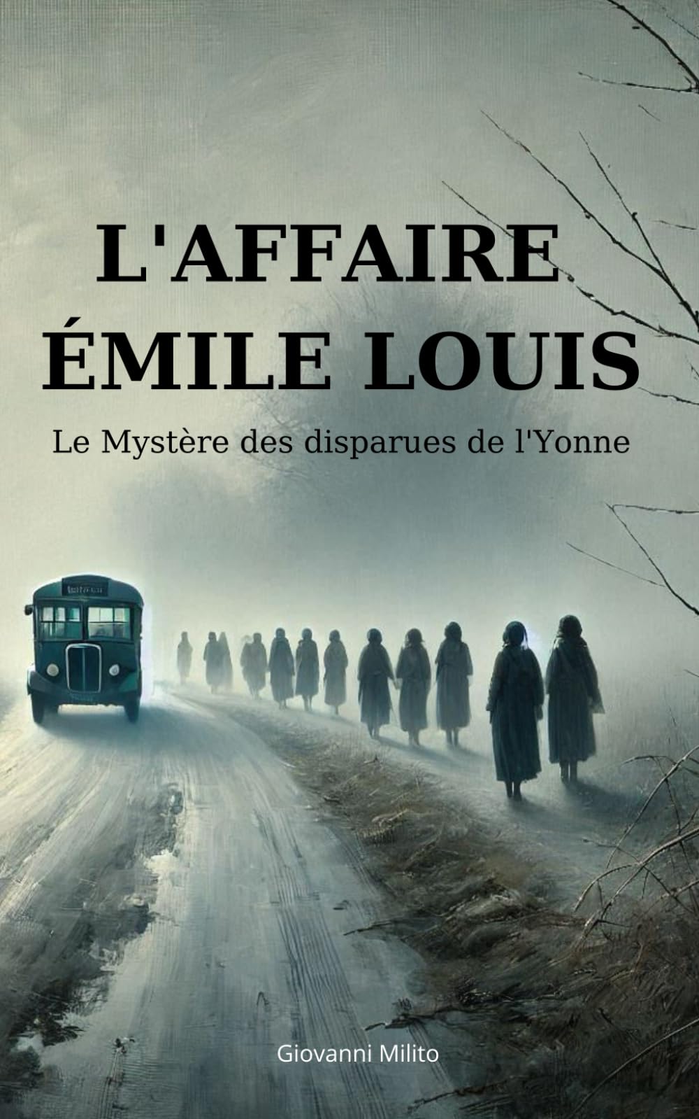 L'AFFAIRE ÉMILE LOUIS : Le Mystère des disparues de l'Yonne: "Une enquête criminelle française (1977-2004) : l'histoire vraie d'une affaire qui a bouleversé la justice" book