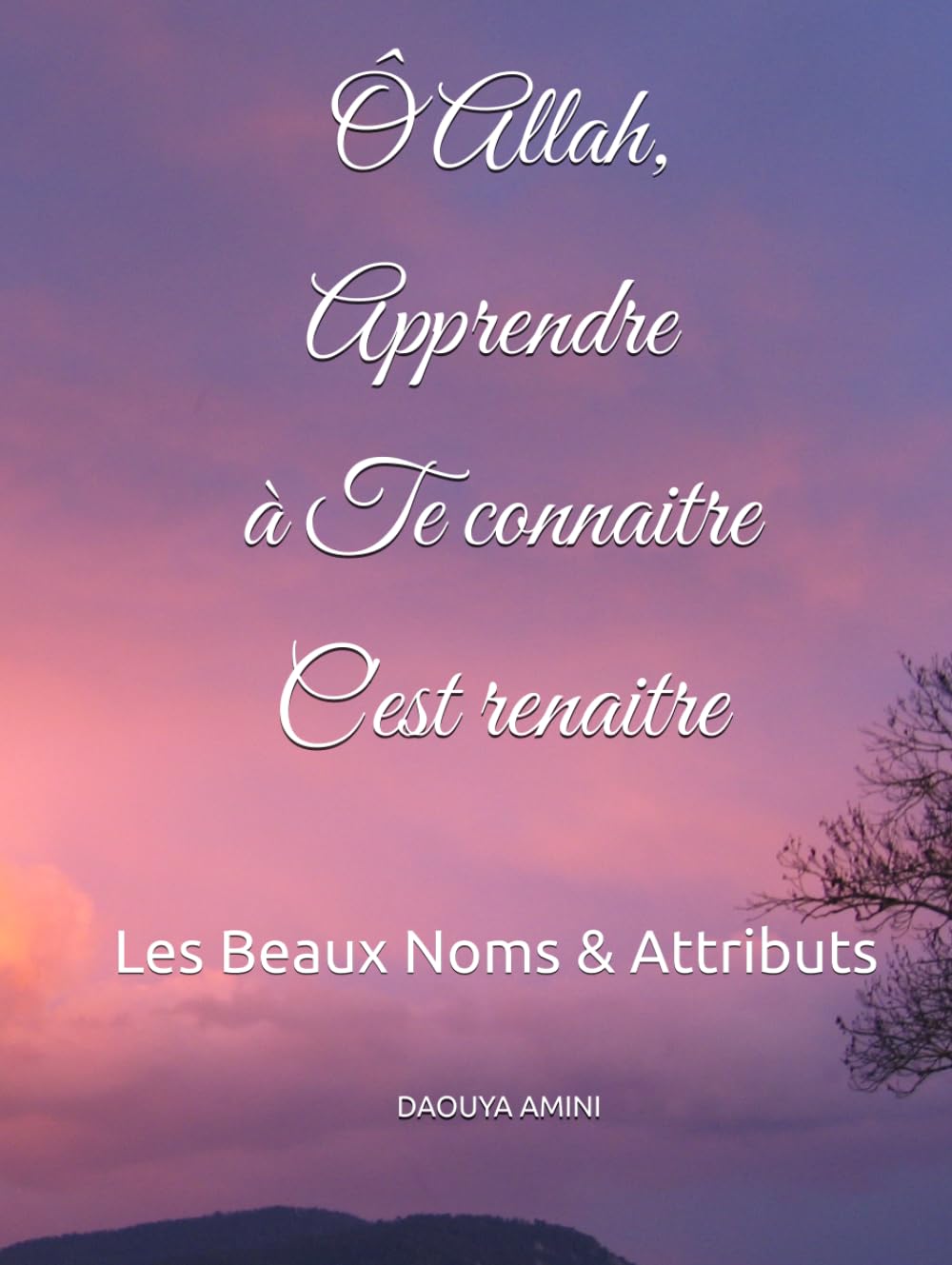 Ô ALLÂH, APPRENDRE À TE CONNAITRE C’EST RENAITRE: Les Beaux Noms & Attributs book
