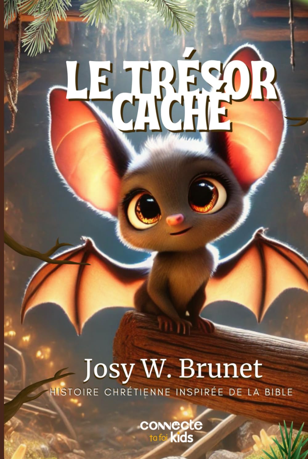 Le Trésor Caché: Histoire chrétienne pour enfants book