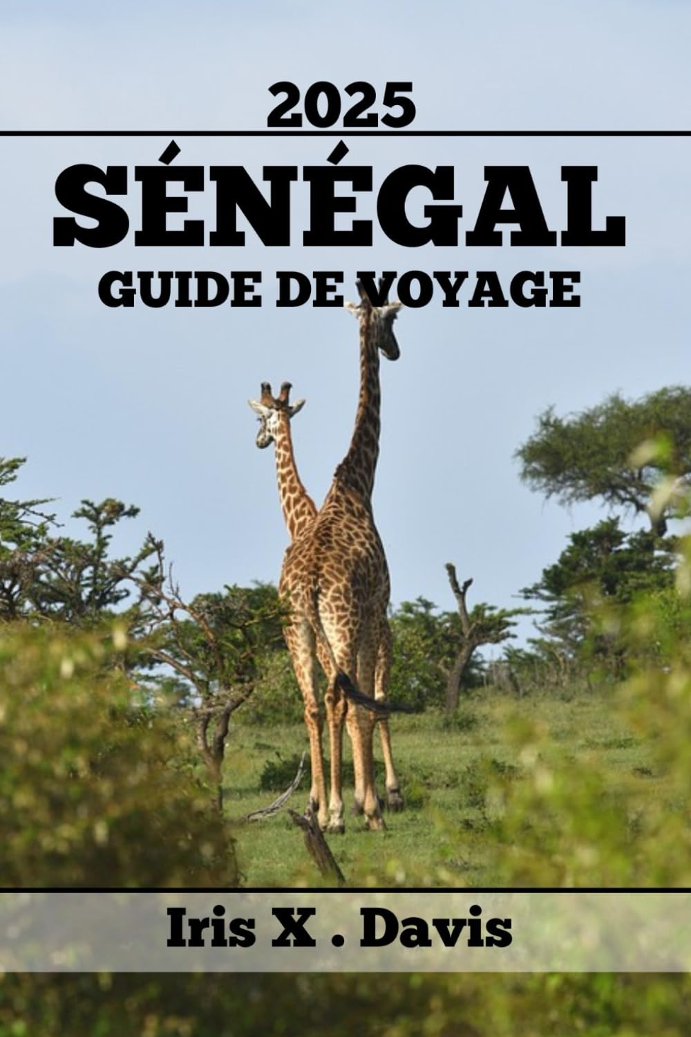 SÉNÉGAL GUIDE DE VOYAGE: Les Meilleures Attractions, Les Endroits Secrets Et La Cuisine Authentique Pour Des Expériences Gustatives Inoubliables book