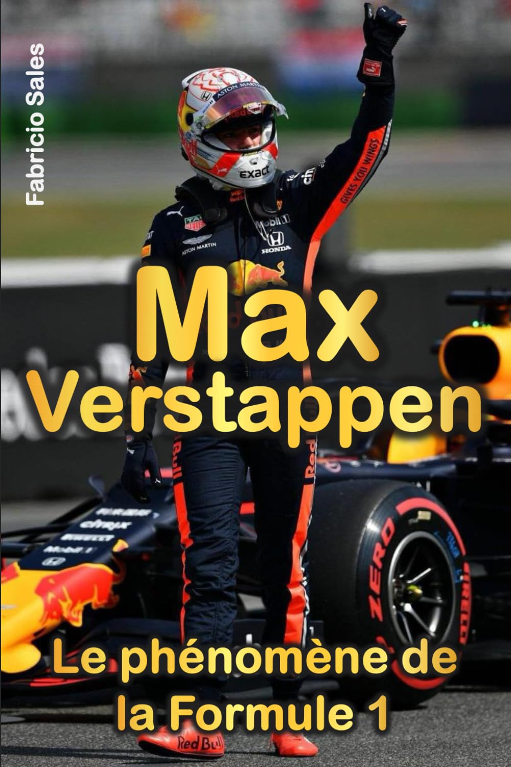 Max Verstappen: Le Fenômeno de la Formule 1 book