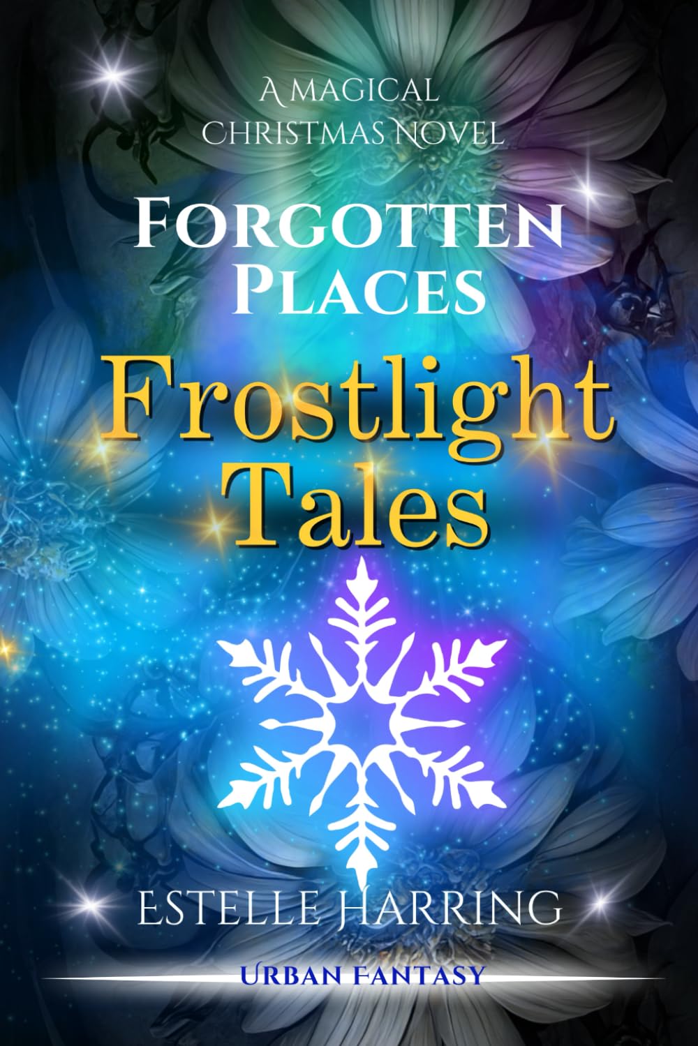Forgotten Places: Frostlight Tales: A Magical Christmas Novel book