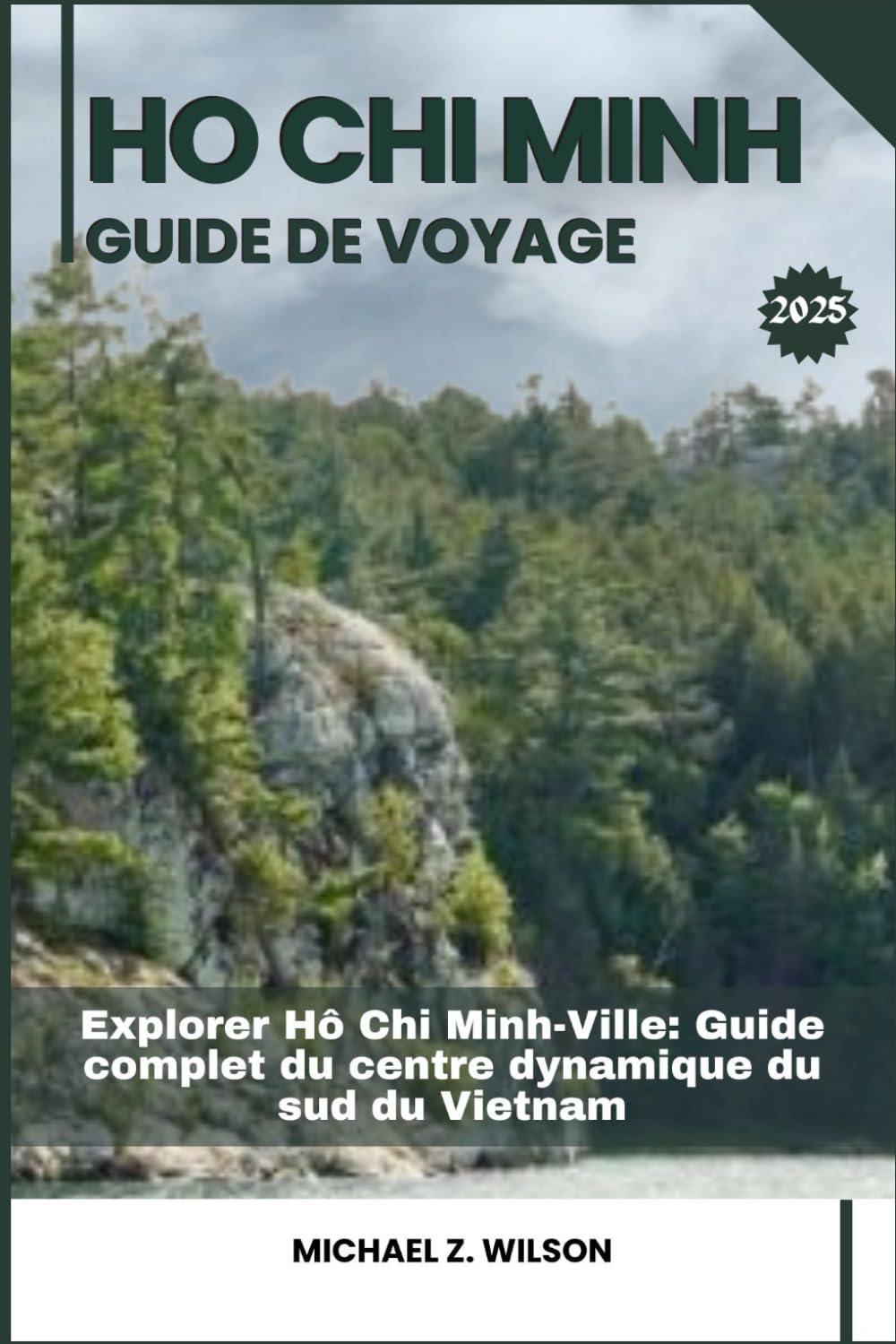 HO CHI MINH GUIDE DE VOYAGE: Explorer Ho Chi Minh-Ville: Guide complet du centre dynamique du sud du Vietnam book