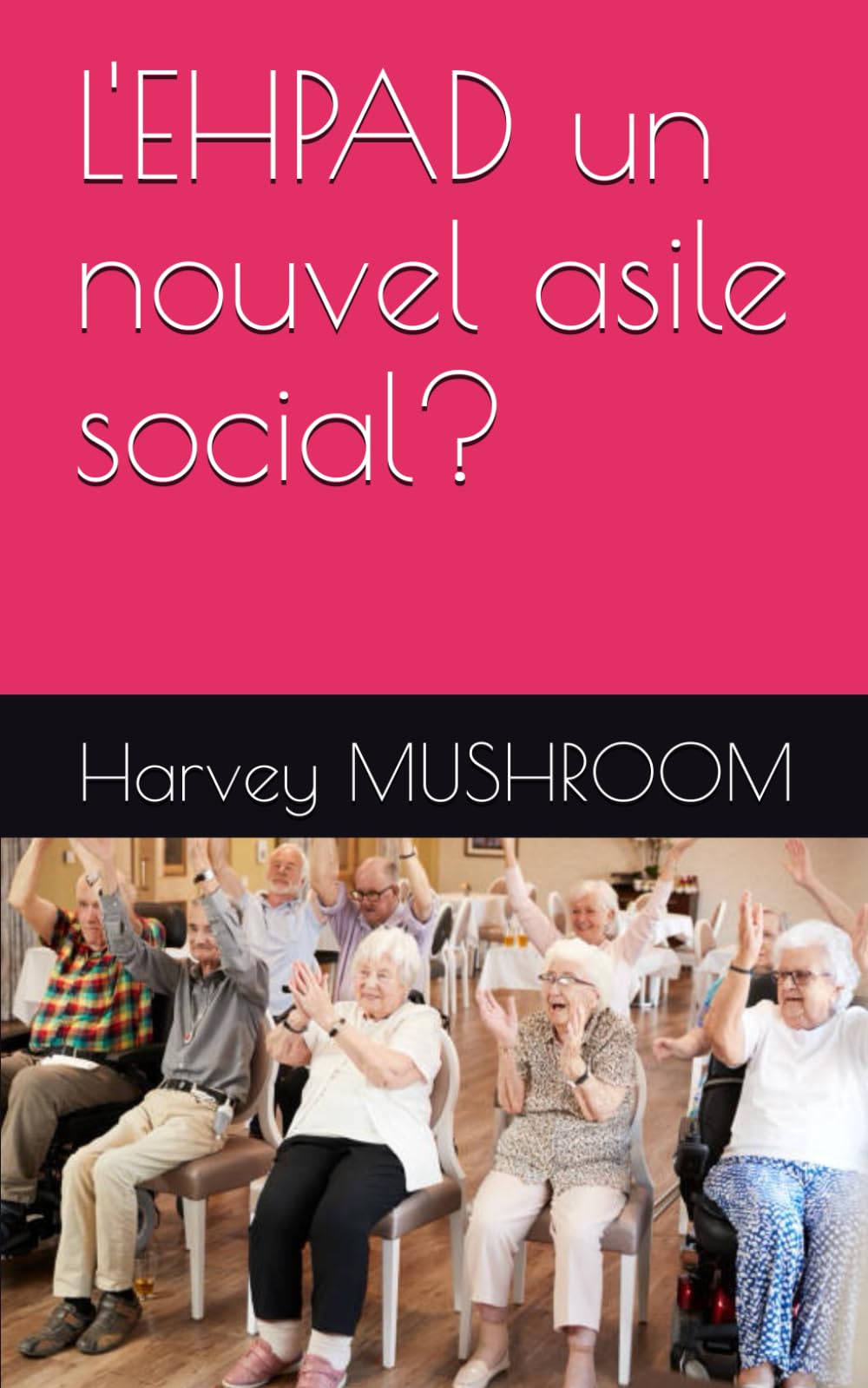 L'EHPAD un nouvel asile social? book