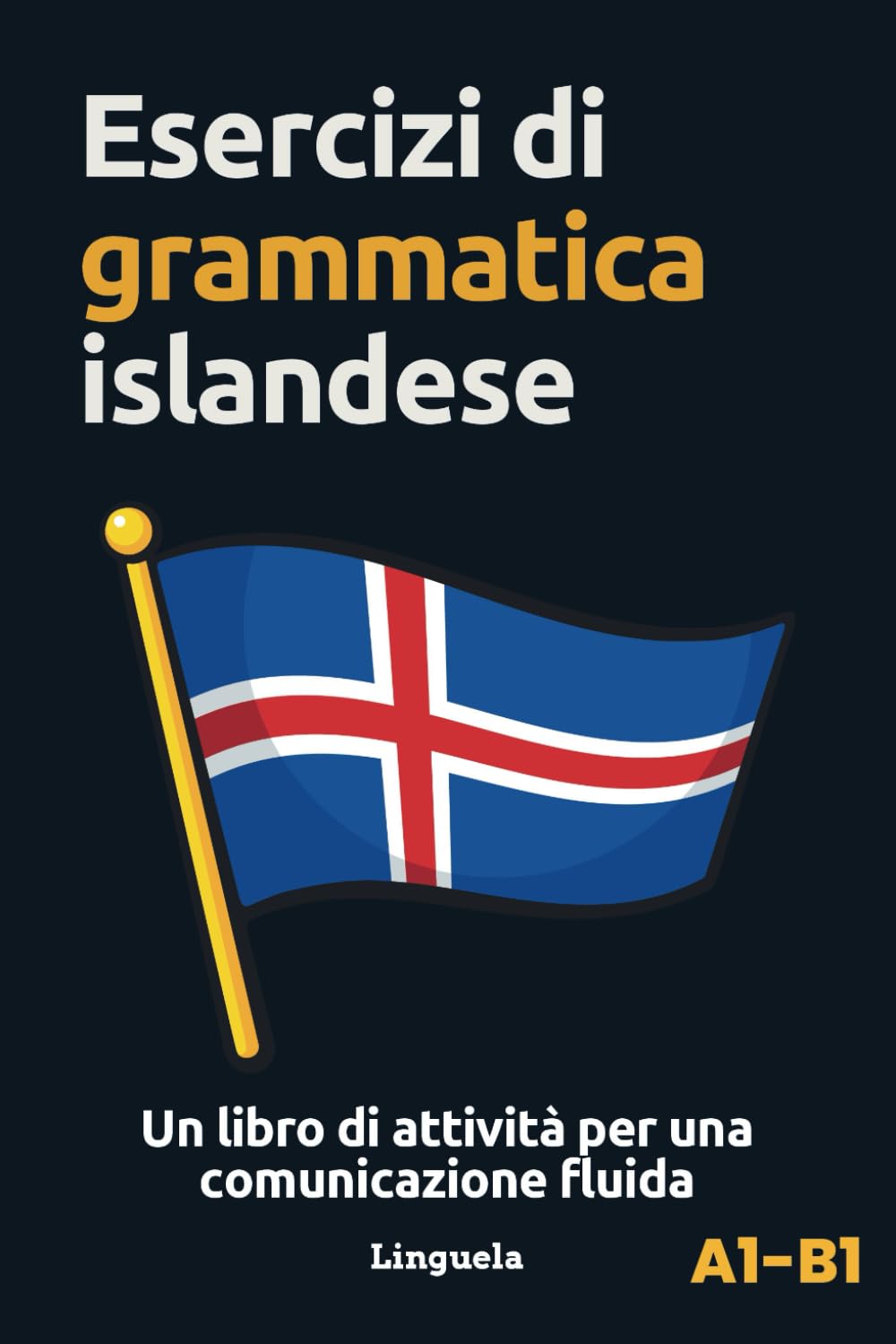Esercizi di grammatica islandese: Un libro di attività per una comunicazione fluida Social Sciences
