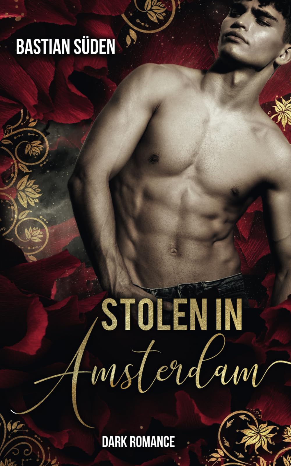 Stolen in Amsterdam (Dark in the City, Band 1) Drama