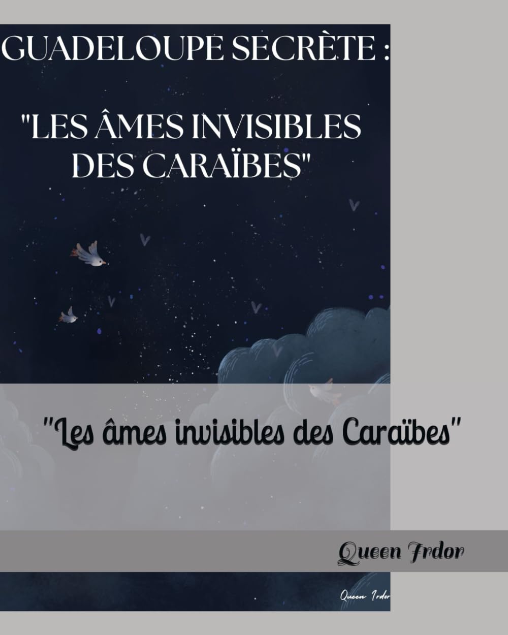 "Les âmes invisibles des Caraïbes" book