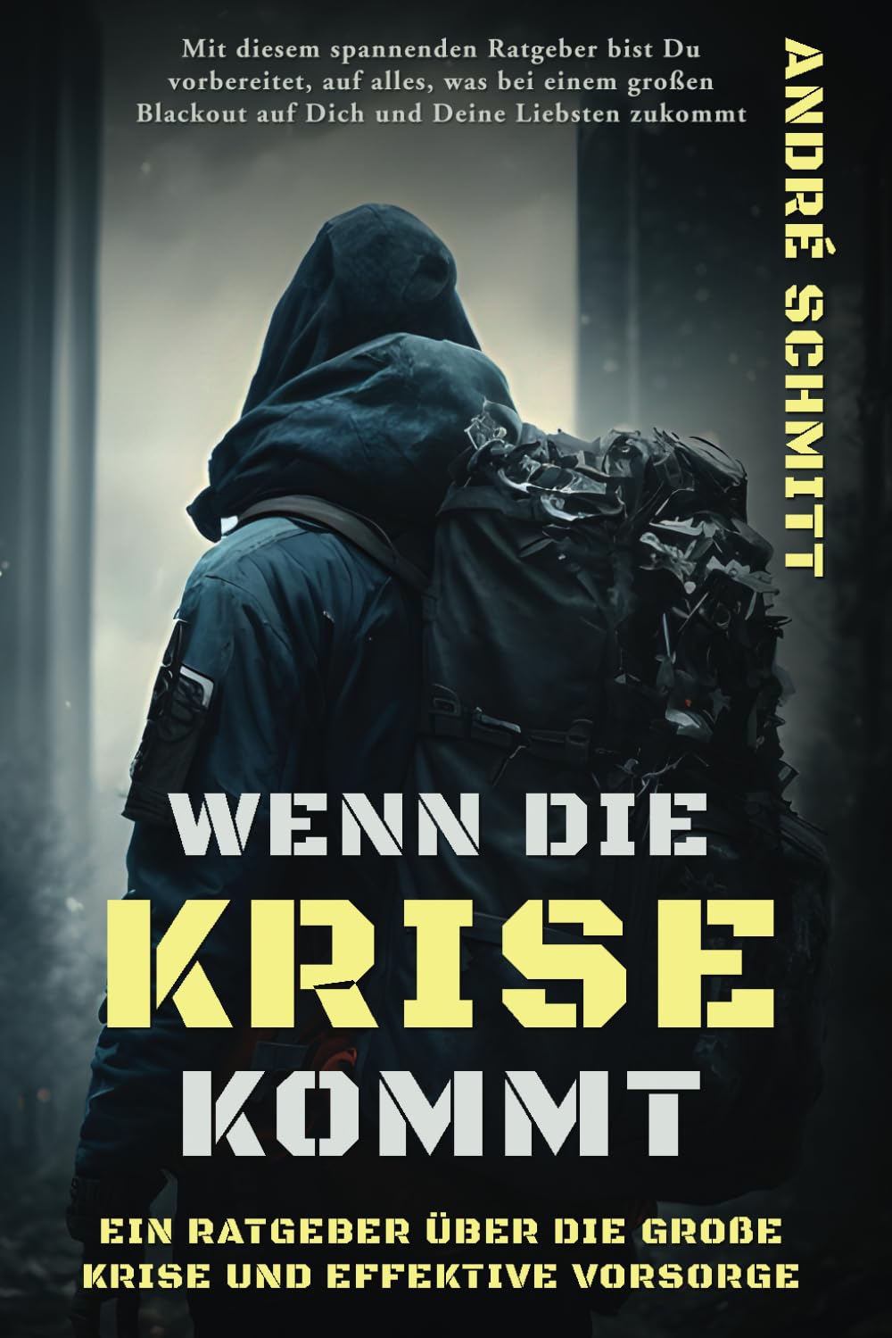 Wenn die Krise kommt: Ein Ratgeber über die große Krise und effektive Krisenvorsorge Sports