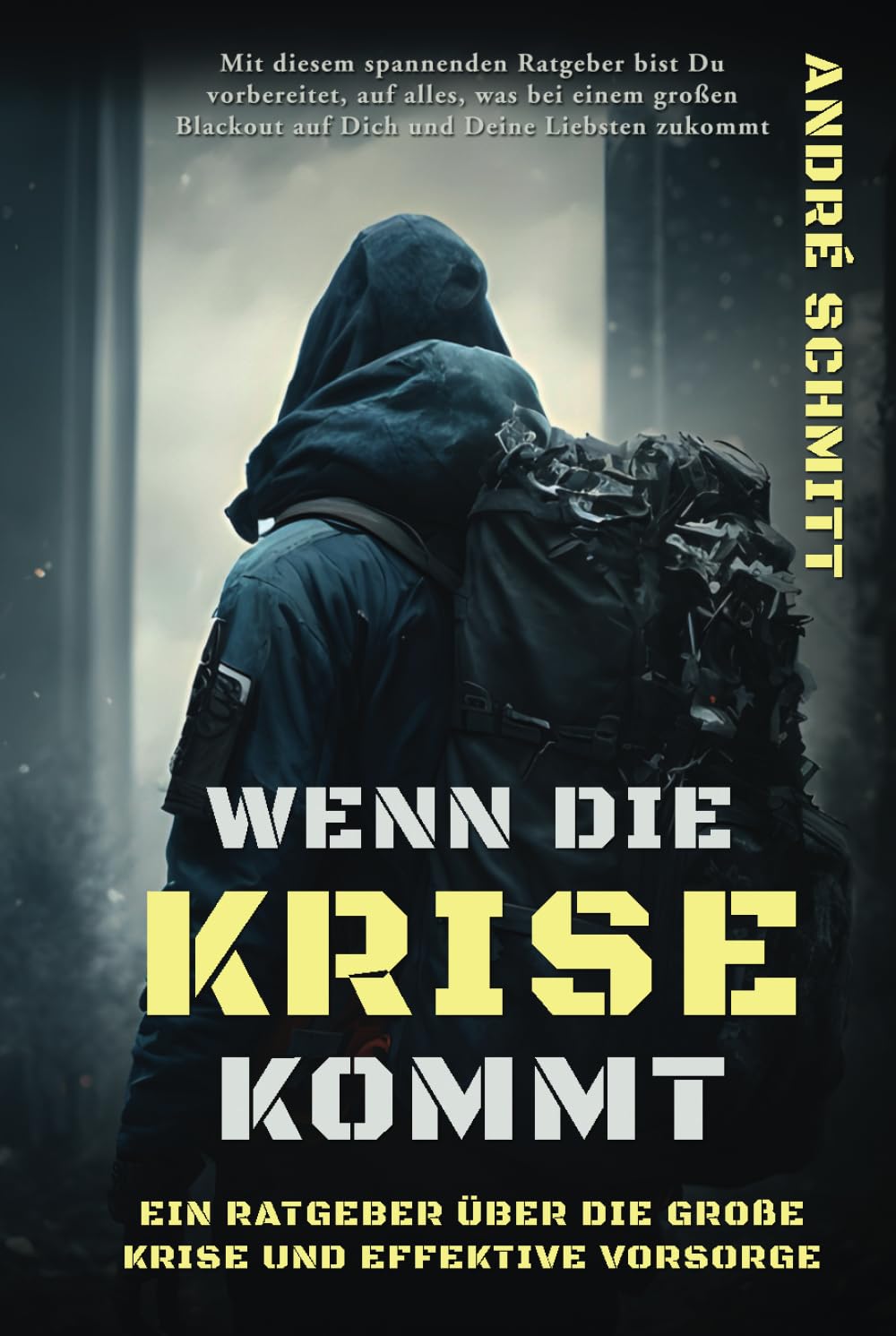Wenn die Krise kommt: Ein Ratgeber über die große Krise und effektive Krisenvorsorge Sports